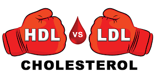 Benefits of LDL Cholesterol