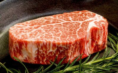 Could Red Meat Be The Fountain Of Youth?