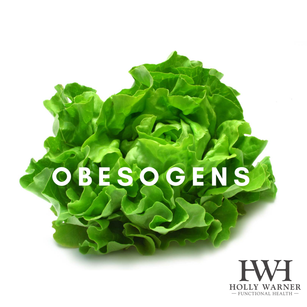 Obesogens, toxic chemicals that make us obese or contribute to weight gain.