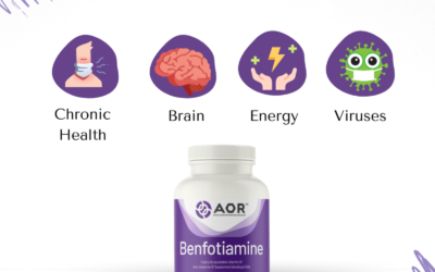 Our Brain and Vitamin B1